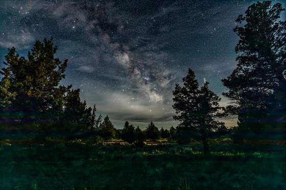Modoc National Forest