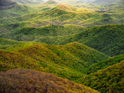 Blue Ridge Parkway