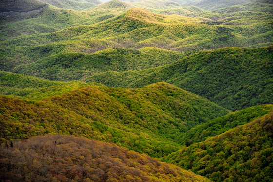 Blue Ridge Parkway