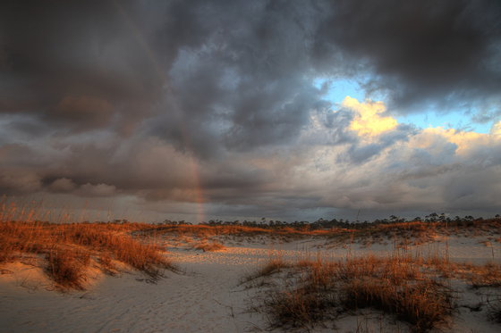 Gulf Islands National Seashore 