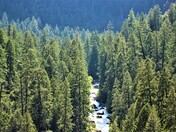 Yosemite National Park