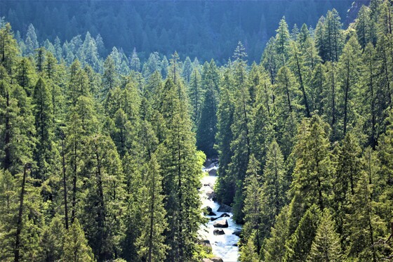 Yosemite National Park