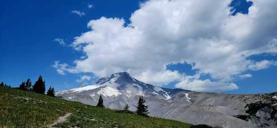 Mt. Hood National Forest