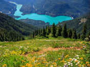 North Cascades National Park