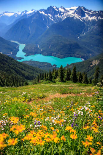 North Cascades National Park