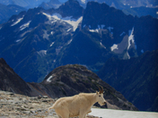 North Cascades National Park