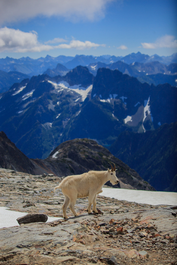 North Cascades National Park