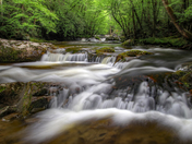 Great Smoky Mountains National Park 