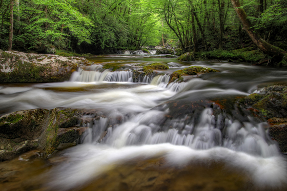 Great Smoky Mountains National Park 