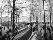Lake Mattamuskeet N.W.R