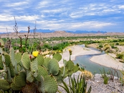 Big Bend National Park