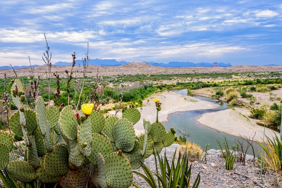 Big Bend National Park