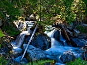 Mt, Baker National Forest