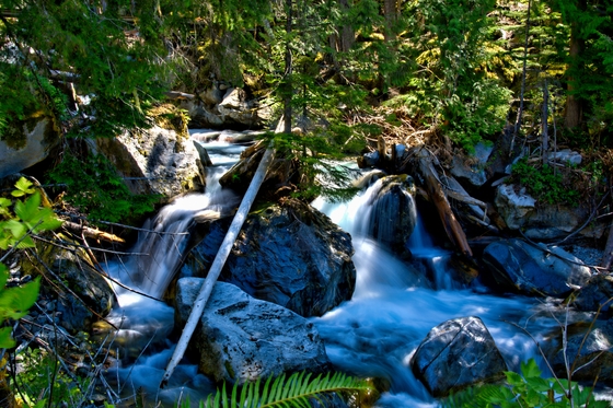 Mt, Baker National Forest