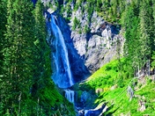 Mt. Rainier National Park