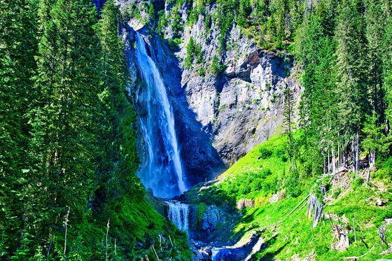 Mt. Rainier National Park