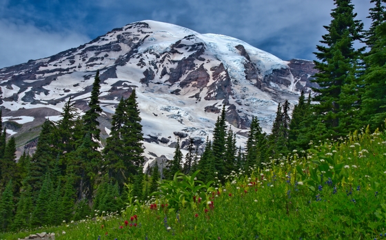 Mt. Rainier National Park