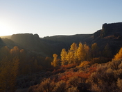Big Jacks Creek Wilderness