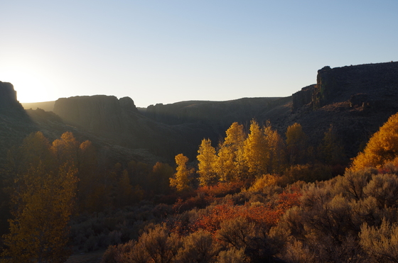 Big Jacks Creek Wilderness