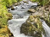 Olympic National Park