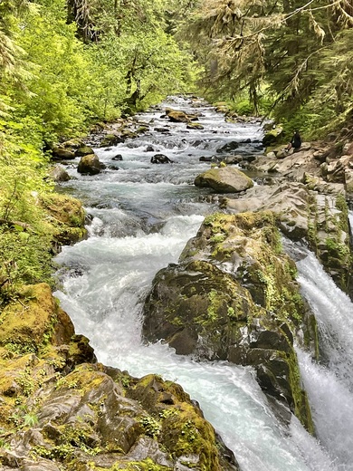 Olympic National Park