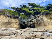 Olympic National Park