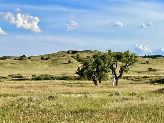 Badlands National Park
