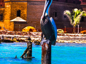 Dry Tortugas National Park