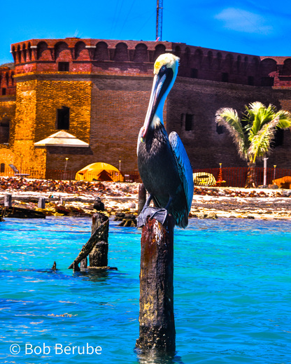 Dry Tortugas National Park