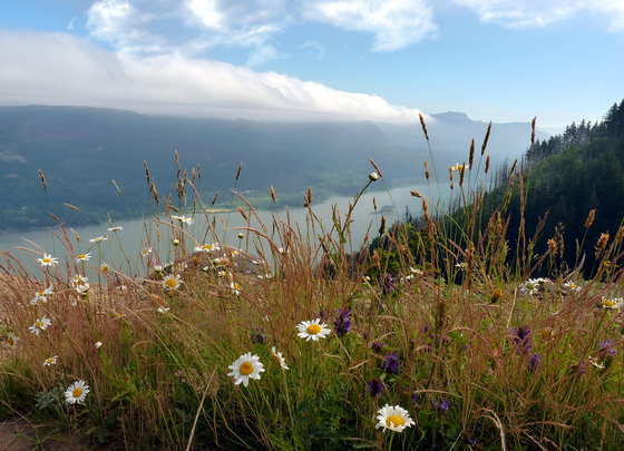 Columbia River Gorge National Scenic Area