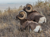 Badlands National Park