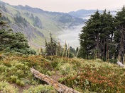 Goat Rocks Wilderness in the Gifford Pinchot National Forest
