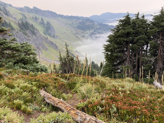 Goat Rocks Wilderness in the Gifford Pinchot National Forest