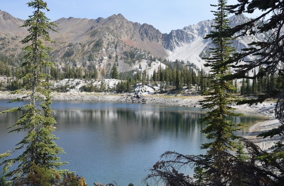 Wallowa-Whitman National Forest