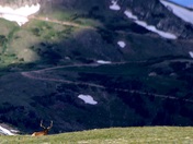 Rocky Mountain National Park 