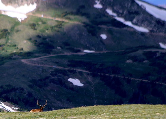 Rocky Mountain National Park 