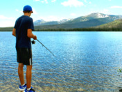 Medicine Bow-Routt National Forests