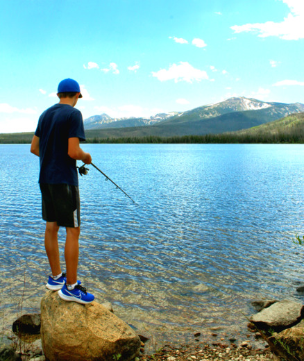 Medicine Bow-Routt National Forests