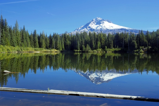 Burnt Lake Mount Hood National Forest