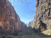 Zion National Park