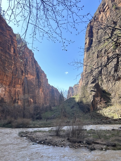 Zion National Park