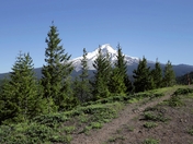 Mount Hood National Forest 