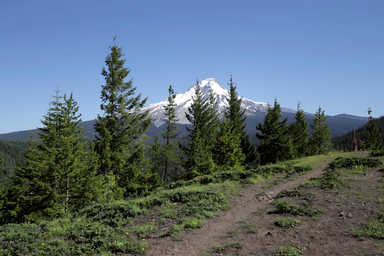 Mount Hood National Forest 