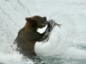 Katmai National Park