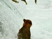 Katmai National Park