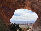 Arches National Park