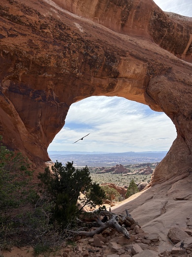 Arches National Park