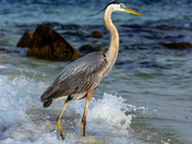 Gulf Islands National Seashore