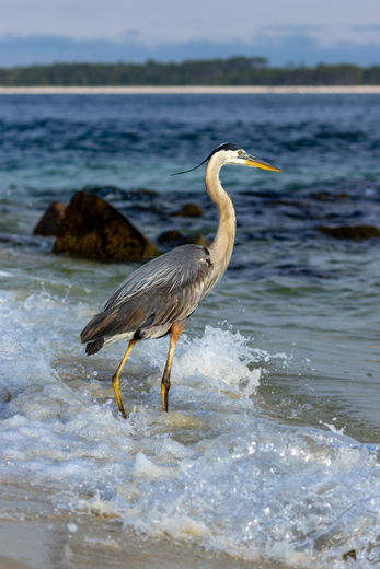 Gulf Islands National Seashore