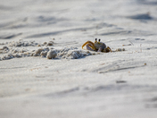 Gulf Islands National Seashore